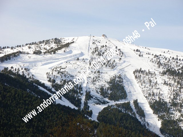 Pal (Vallnord) 10/11/2008